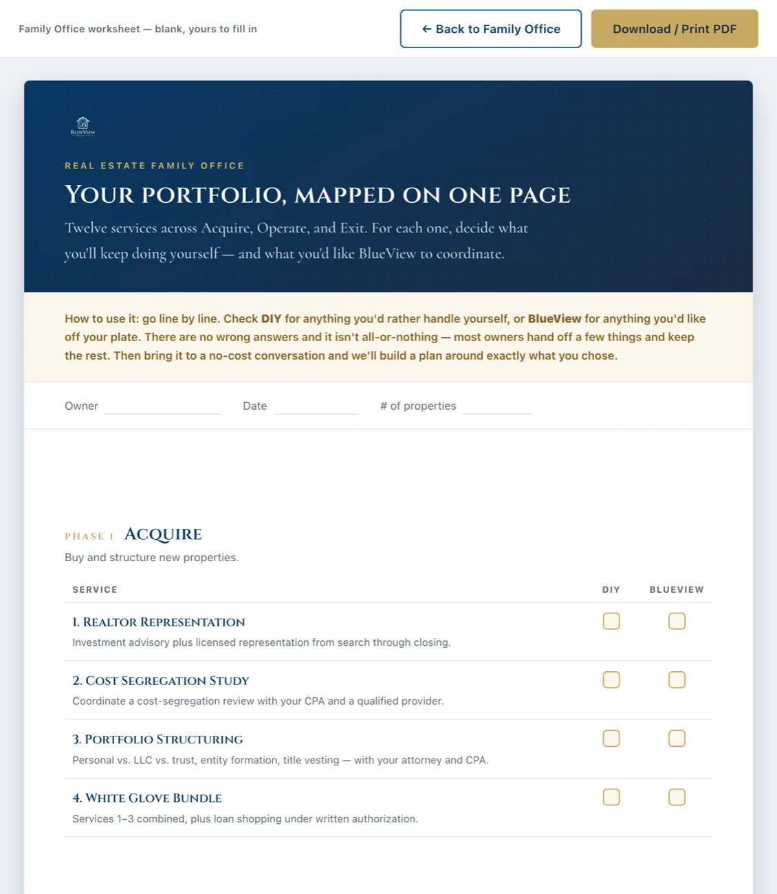 The BlueView Family Office worksheet, twelve services marked DIY or BlueView
