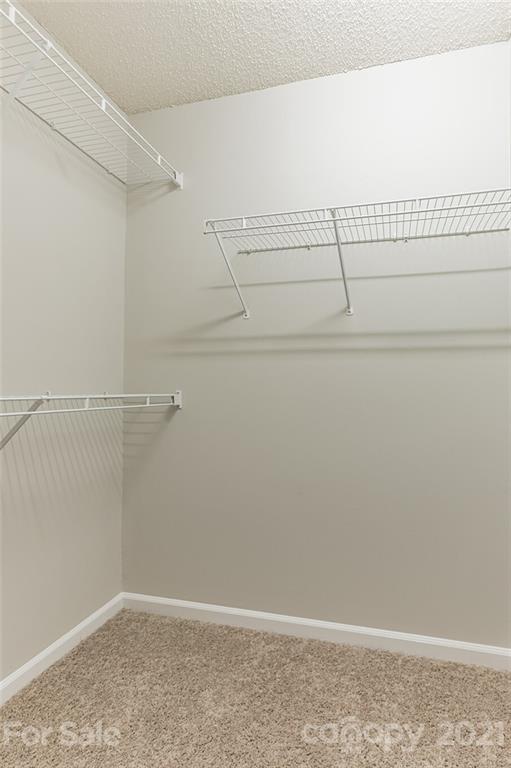 9029 Belle Bragg Way